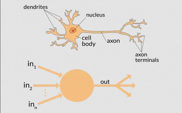 "neuron example"